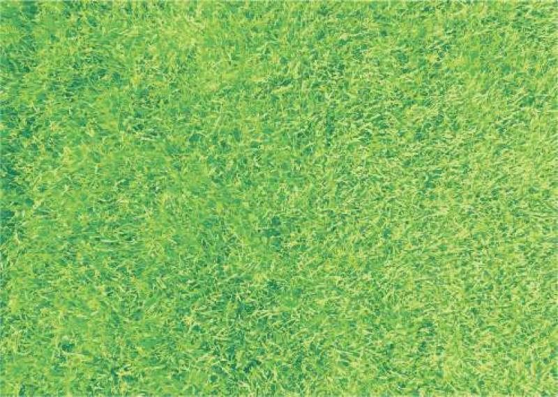 草坪纹理