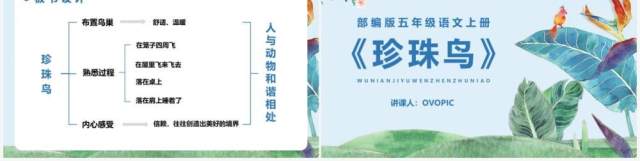 部编版五年级语文下册珍珠鸟课件PPT模板 部编版五年级语文下册珍珠鸟课件PPT模板