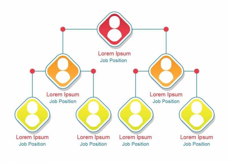 商业层次结构组织图