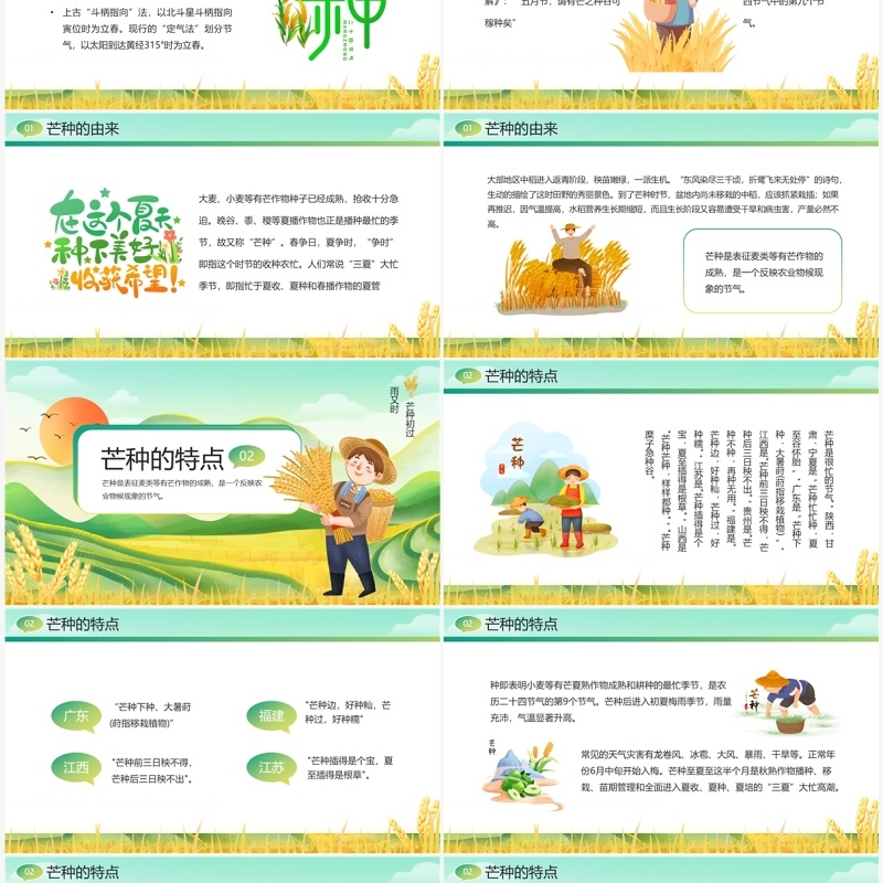 绿色插画风二十四节气之芒种PPT模板