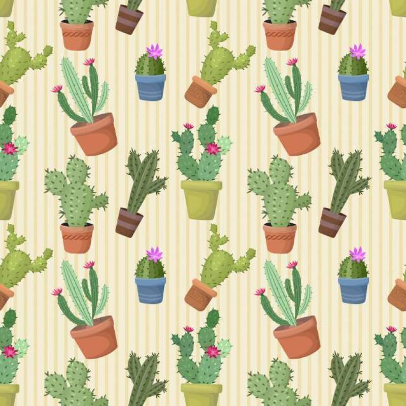 仙人掌在锅无缝模式。