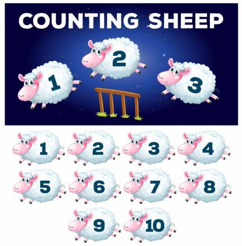 算数羊的数学