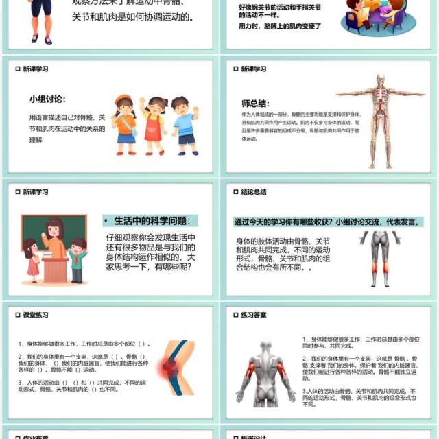 教科版四年级科学上册骨骼关节和肌肉课件PPT模板