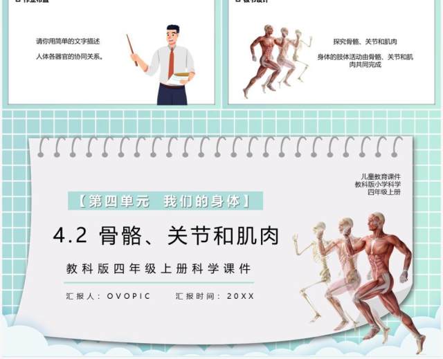 教科版四年级科学上册骨骼关节和肌肉课件PPT模板 教科版四年级科学上册骨骼关节和肌肉课件PPT模板