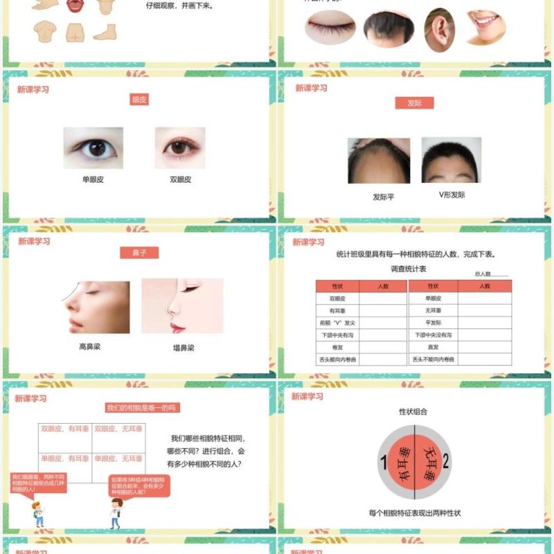 教科版六年级科学上册相貌各异的我们PPT模板