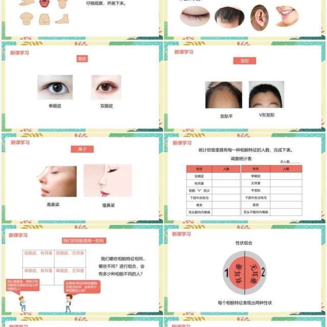 教科版六年级科学上册相貌各异的我们PPT模板