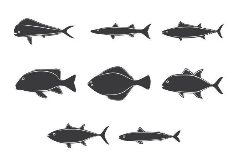 艺术线条海洋鱼收藏画