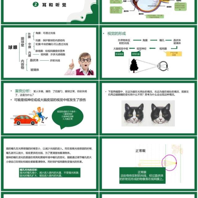 部编版九年级上册人体对外环境的感知课件PPT模板