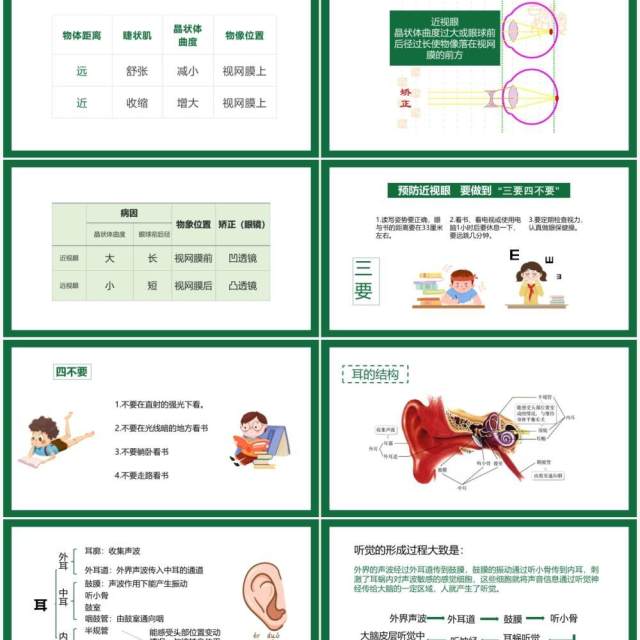 部编版九年级上册人体对外环境的感知课件PPT模板