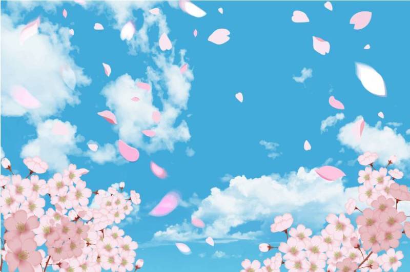 樱花和蓝天CS5