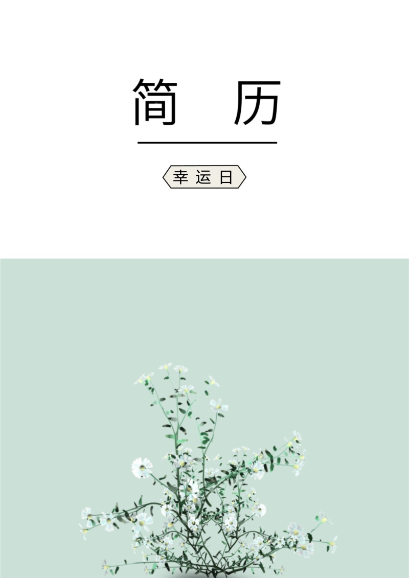 艺术设计师个人求职WORD简历模板02