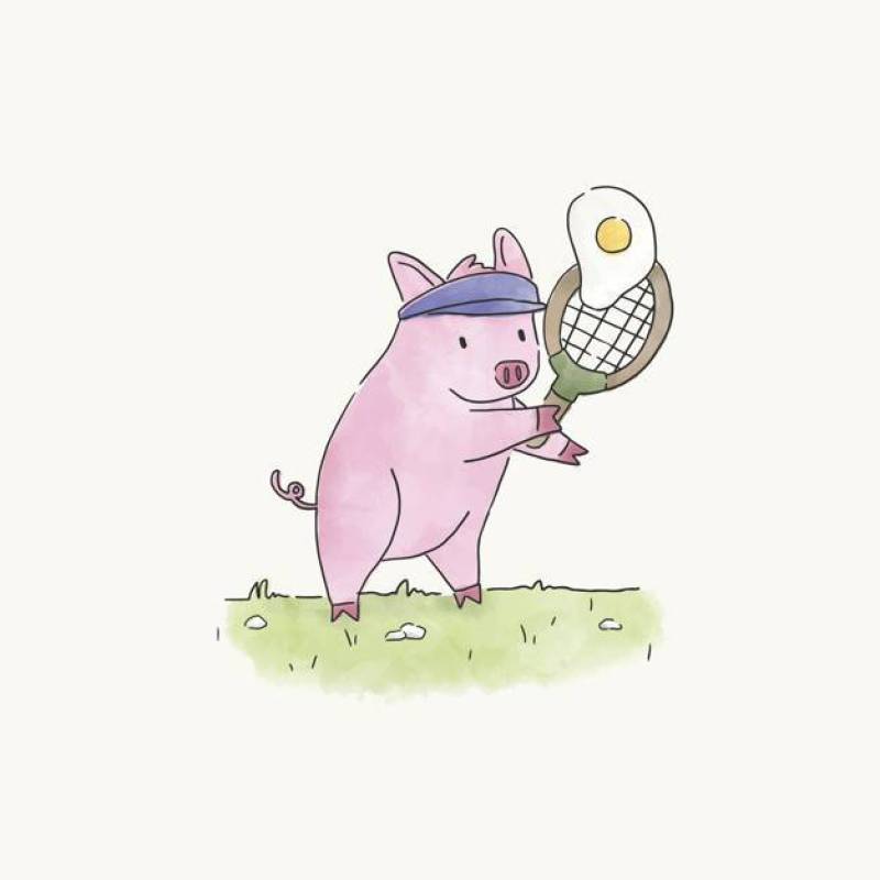 打网球用煎蛋的猪