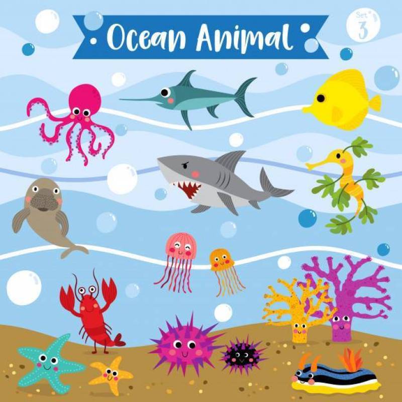 海洋动物卡通