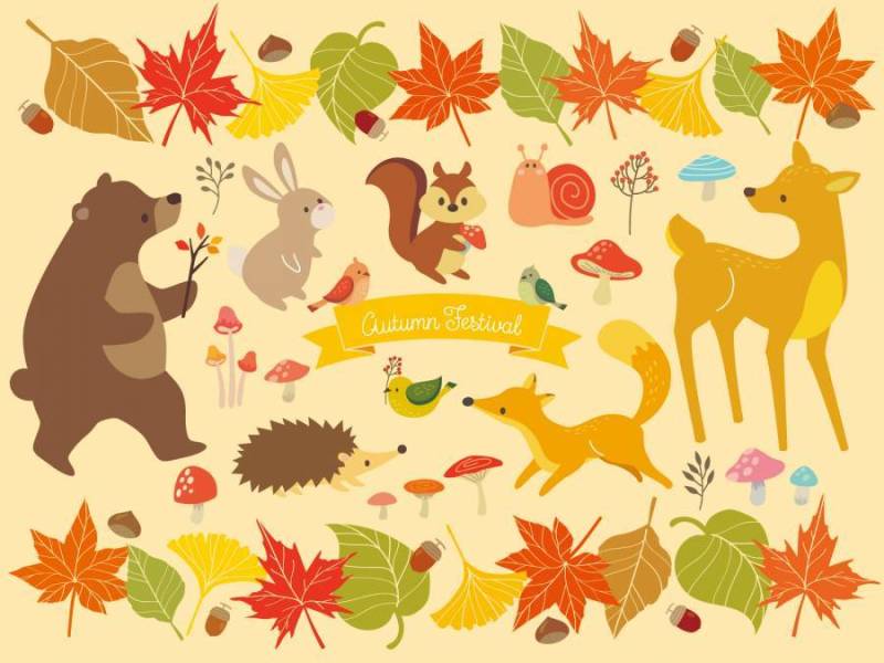 秋天的树叶框架和动物插图（4）