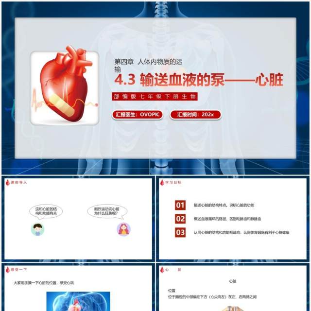 部编版七年级生物下册输送血液的泵——心脏课件PPT模板