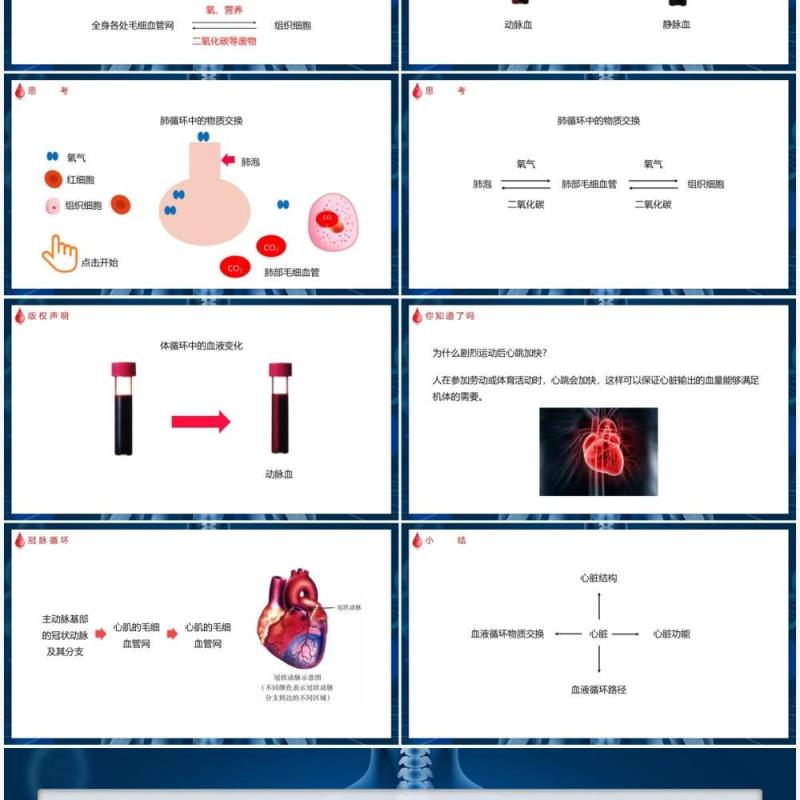 部编版七年级生物下册输送血液的泵——心脏课件PPT模板