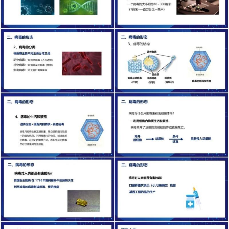 部编版八年级生物上册病毒PPT模板