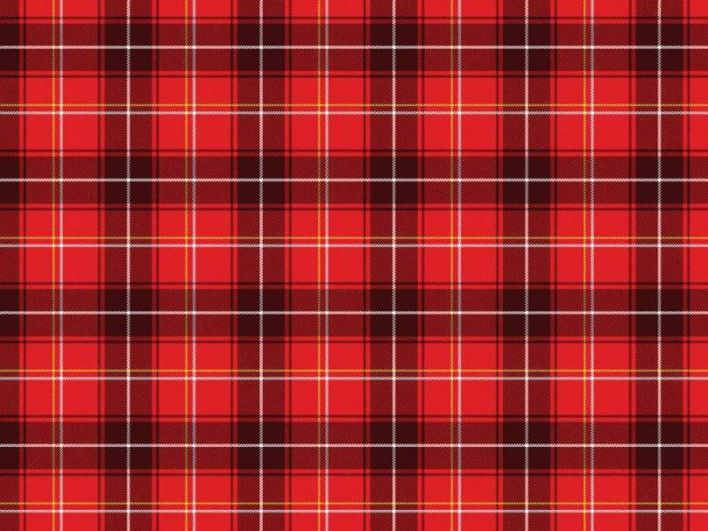 红色格子呢检查01