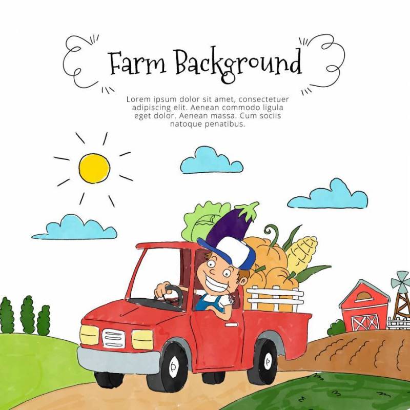 可爱的农民里面拿起蔬菜和农场的风景