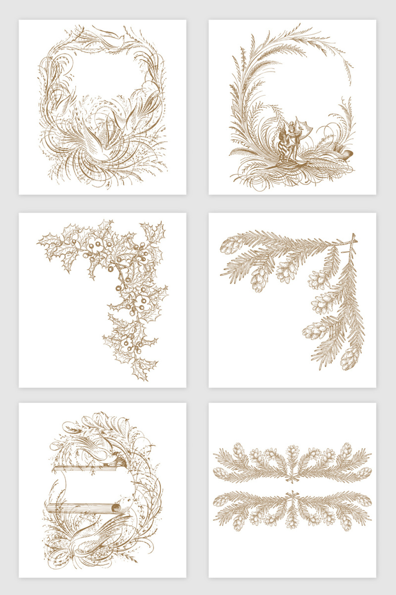 松枝植物花边框插画矢量图形