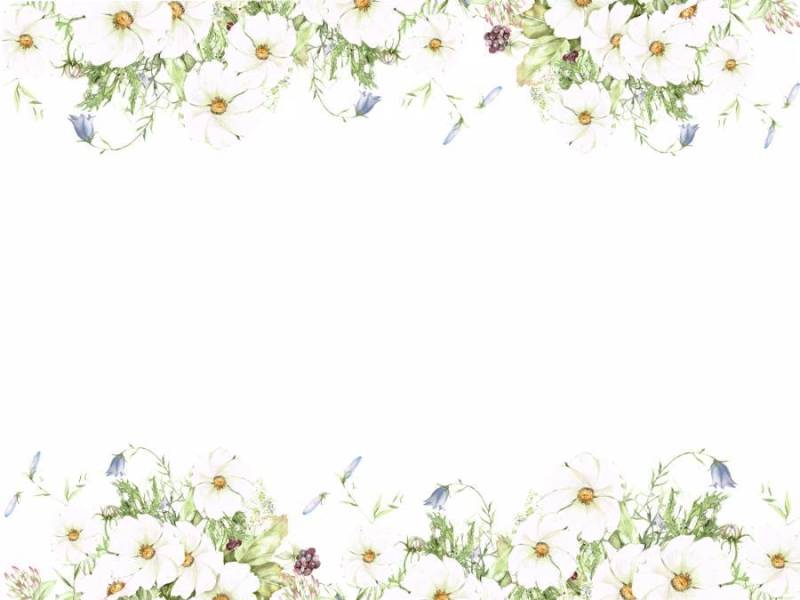 花框架234 - 由秋季吹风季节的问候