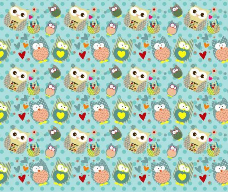 可爱的猫头鹰图案。