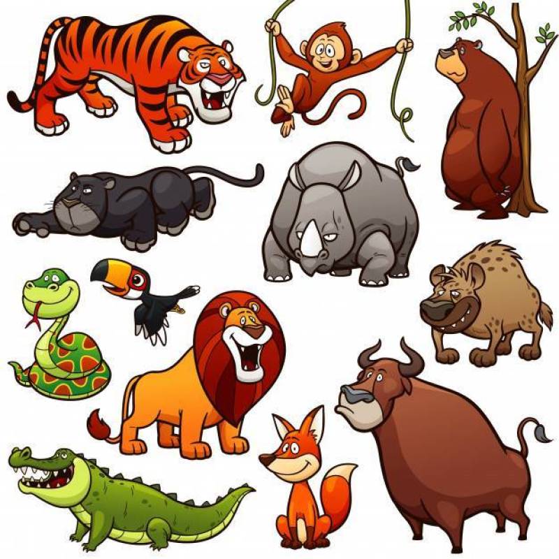 Cartoon Wild Animals Character