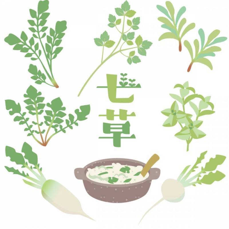 春天七草药集