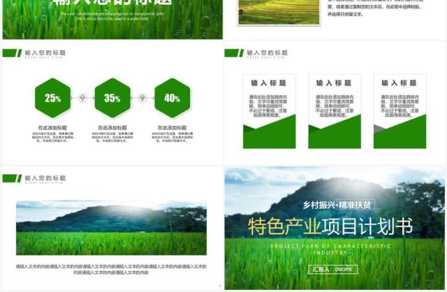 绿色简约风特色产业项目计划书PPT模板 绿色简约风特色产业项目计划书PPT模板