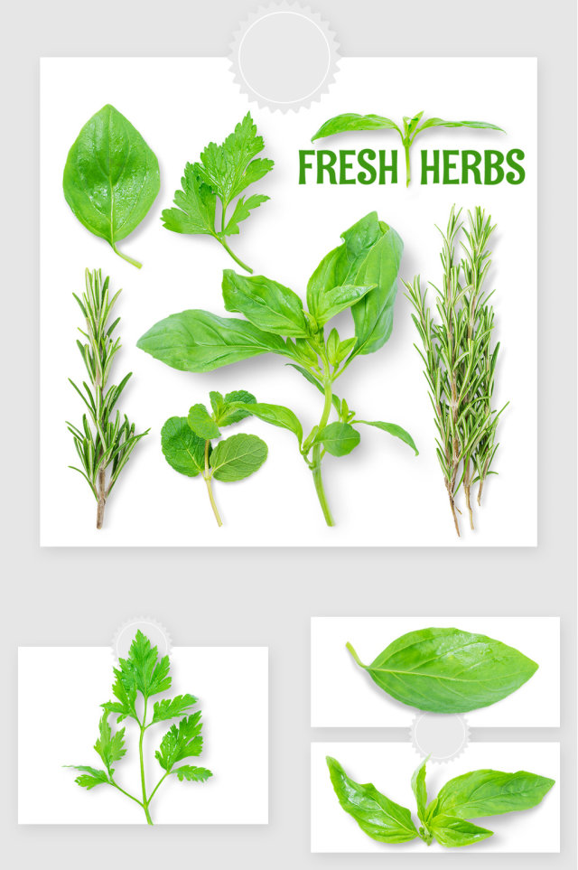 绿色高清蔬菜叶子PSD素材