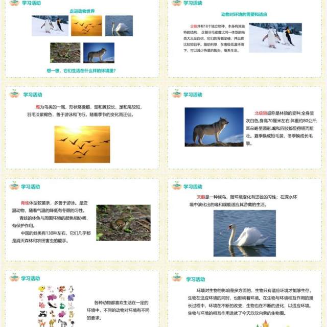 教科版五年级科学上册蚯蚓的选择PPT模板