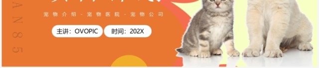 橙色简约风宠物医院项目计划PPT模板 橙色简约风宠物医院项目计划PPT模板