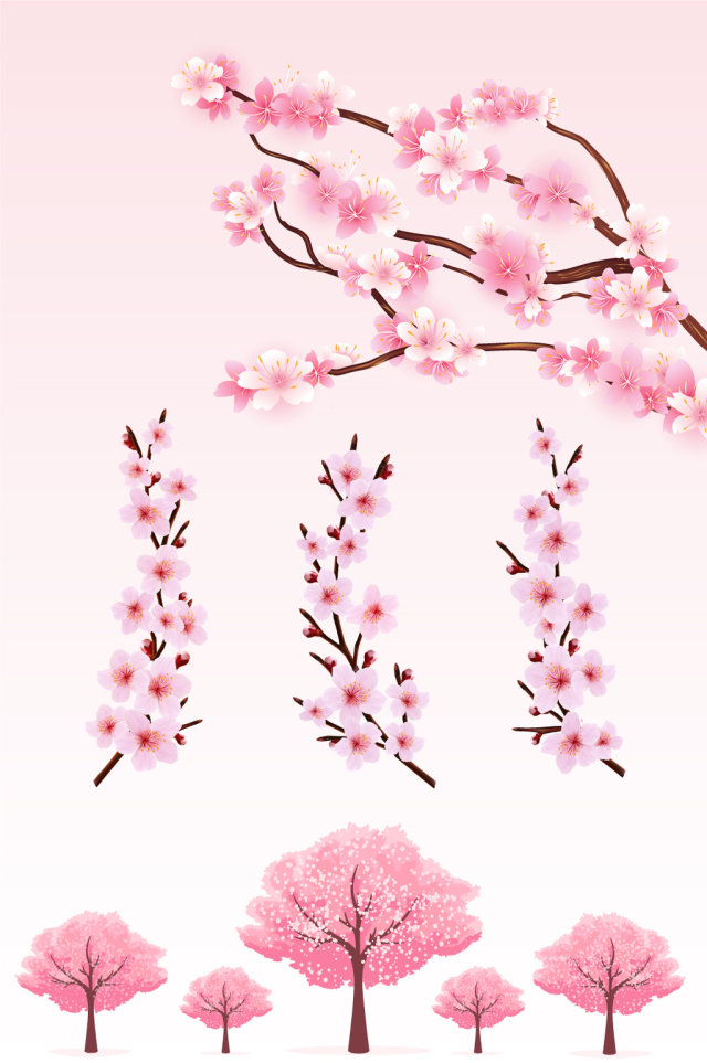 矢量樱花素材 矢量樱花素材