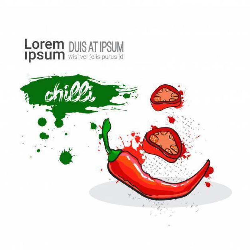 辣椒红手绘水彩蔬菜