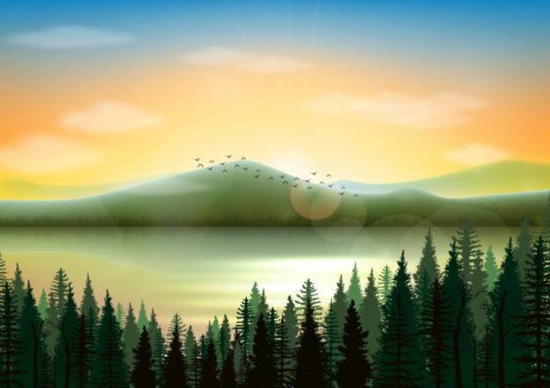 山与湖和杉木森林的风景背景