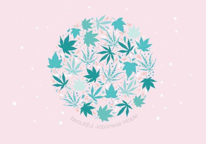 美丽的日本枫树矢量