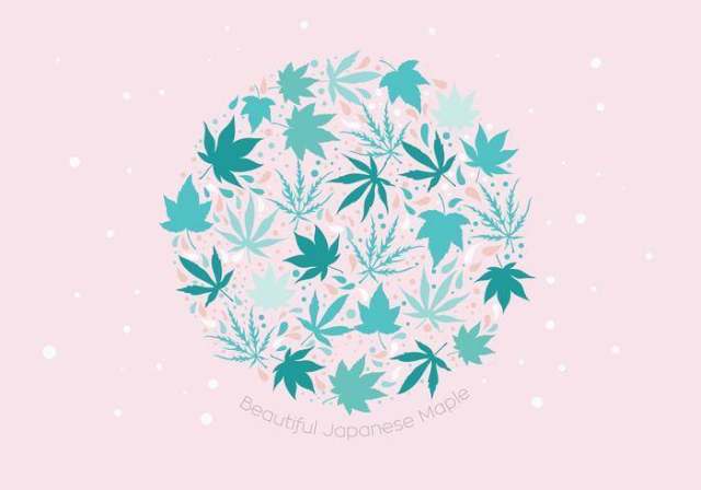 美丽的日本枫树矢量