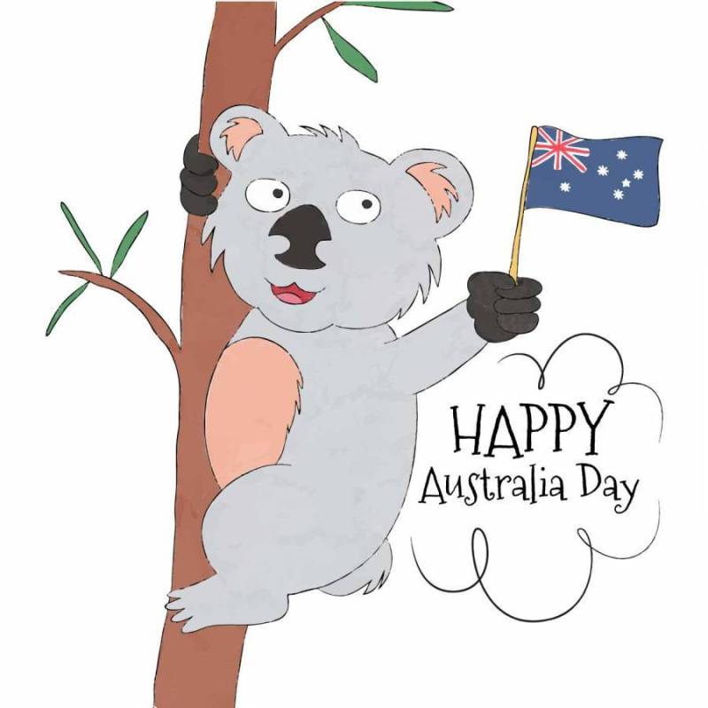 澳大利亚国旗的可爱考拉