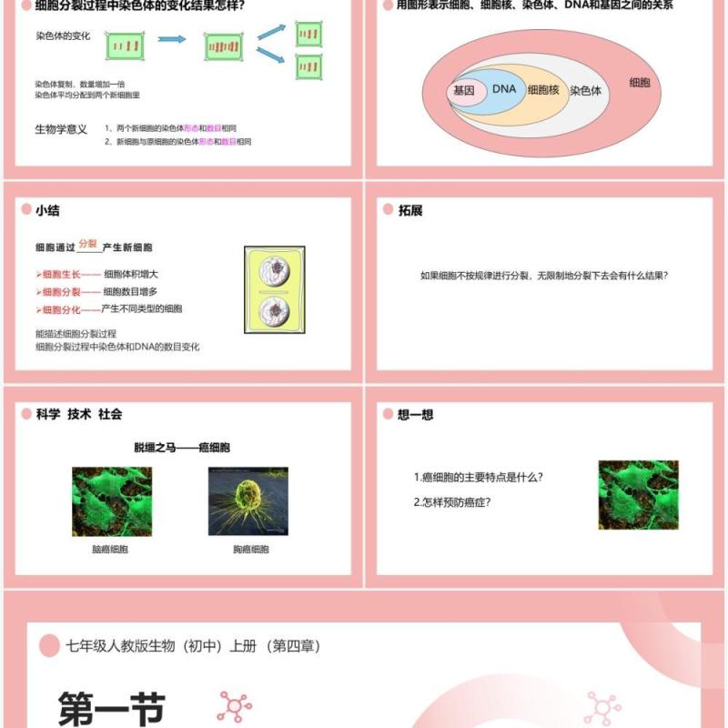 部编版七年级生物上册细胞通过分裂产生新细胞课件PPT模板