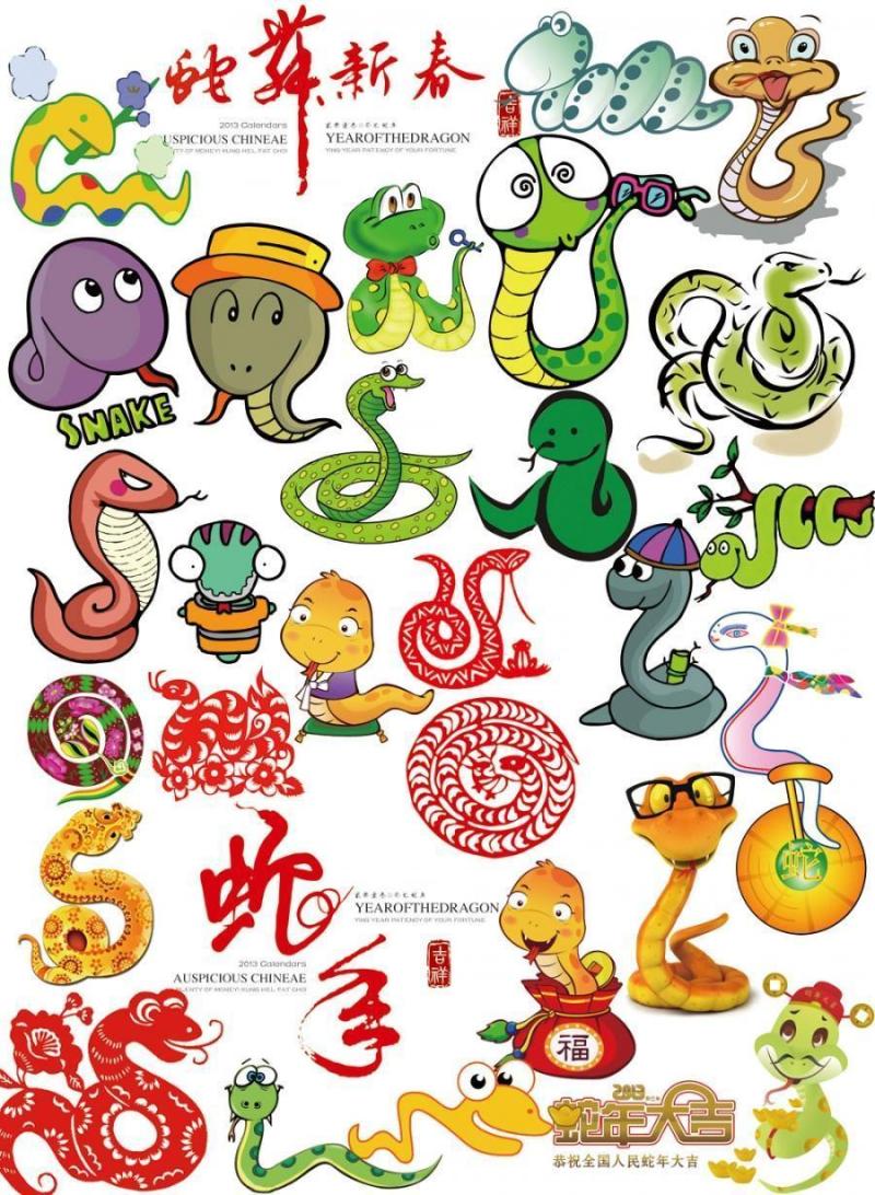 2013蛇年各类卡通蛇PSD源文件
