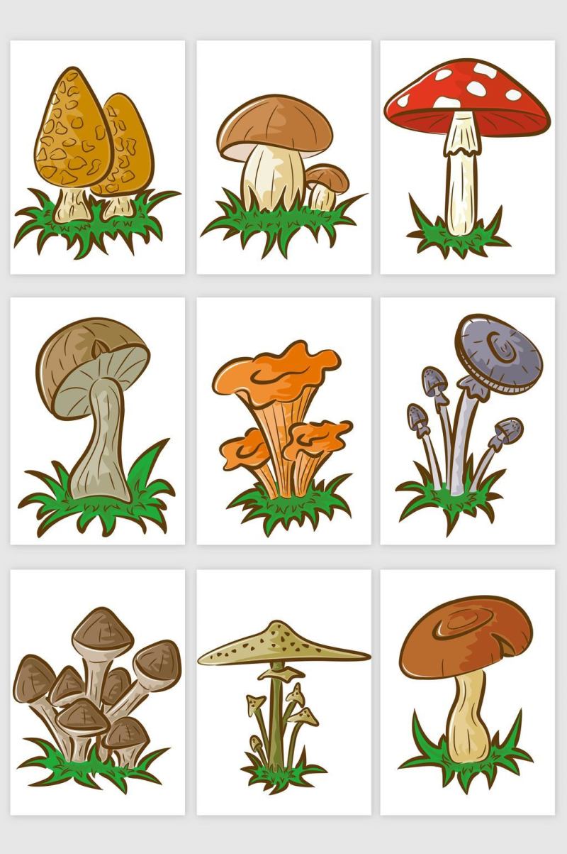 手绘风格蘑菇矢量元素