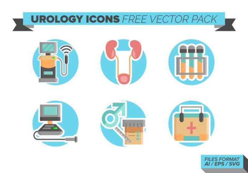 泌尿学 矢量包