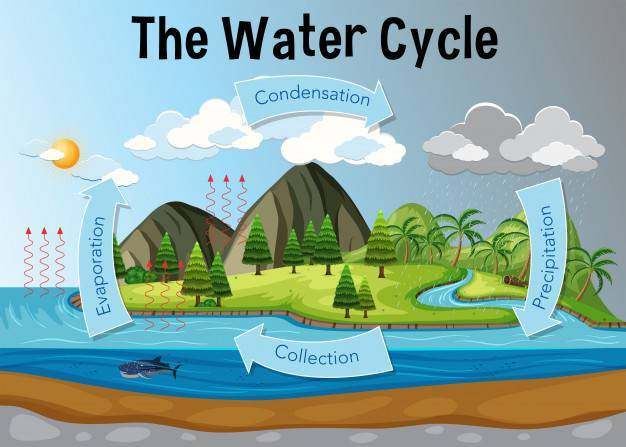 水循环图