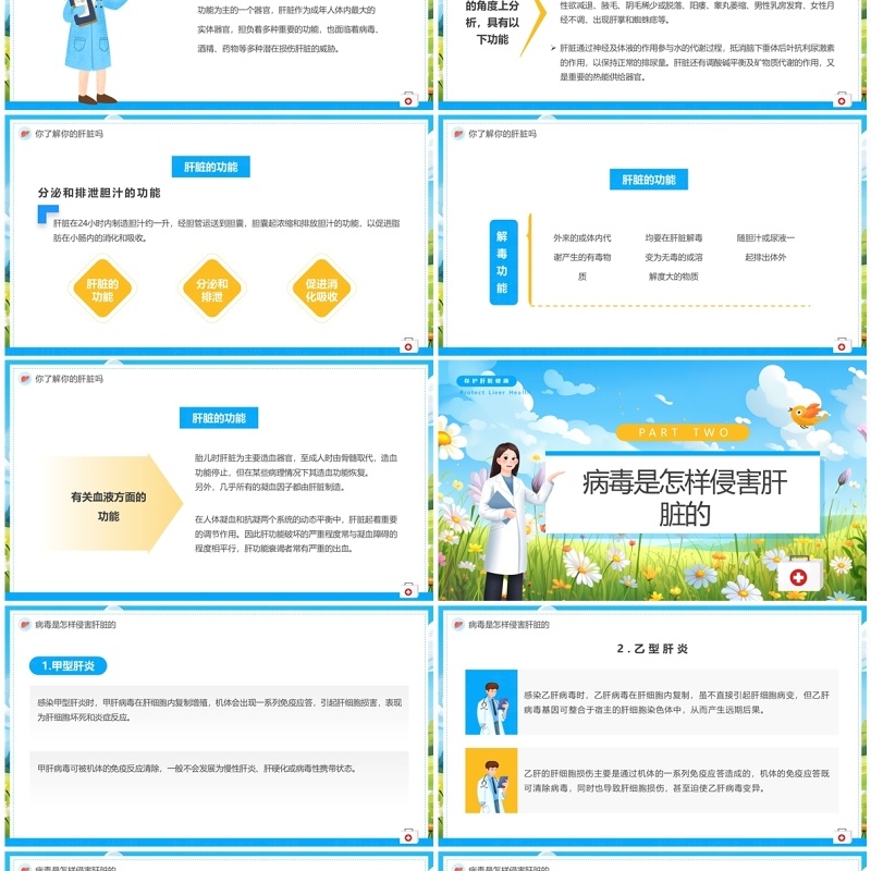蓝色卡通风全国爱肝日主题教育PPT模板