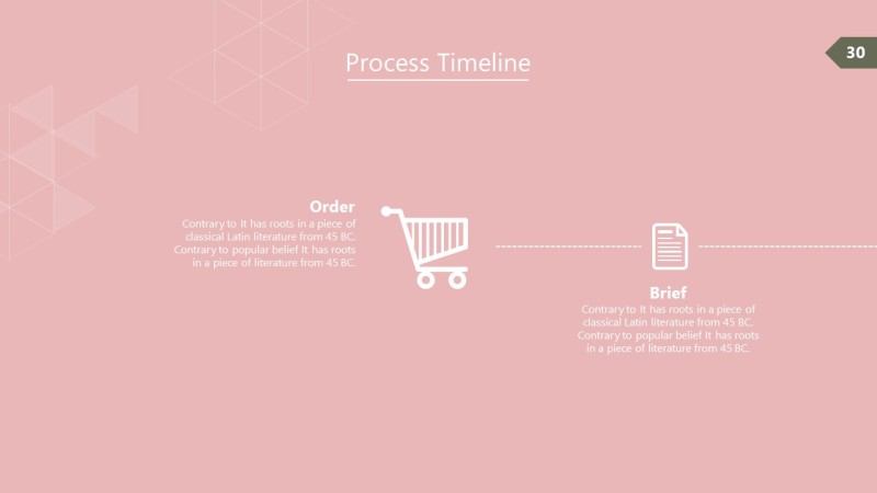 淡雅信息可视化PPT图表30