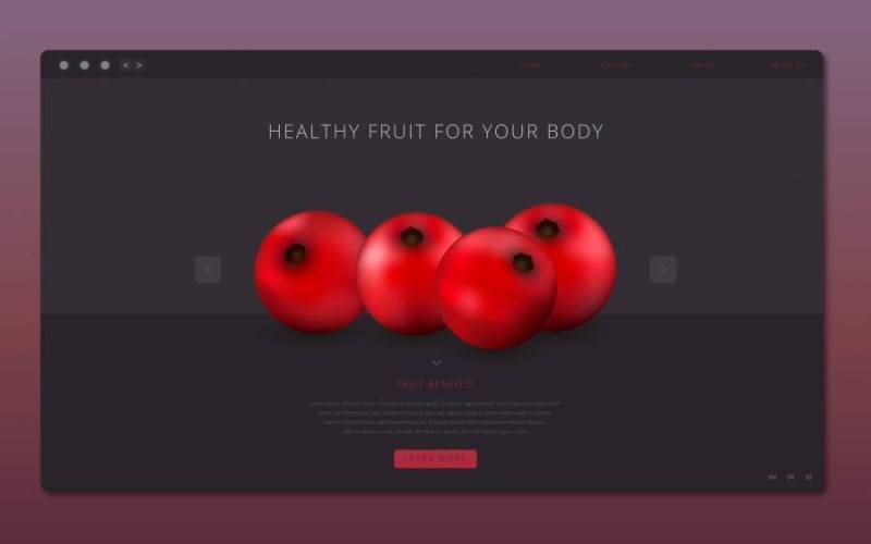 蔓越莓健康的水果插图Web模板