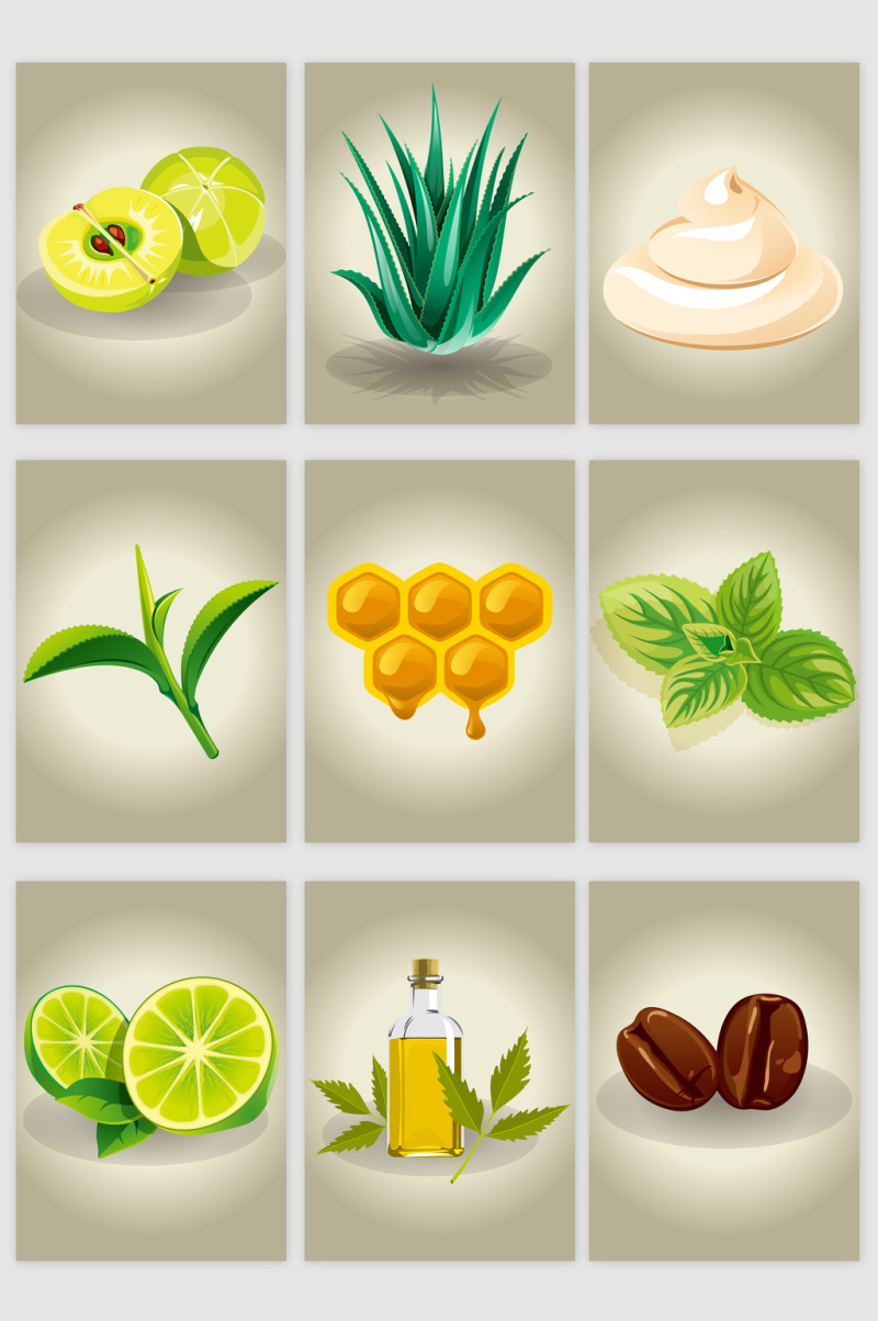 养生食物植物柠檬蜂蜜咖啡豆矢量图形