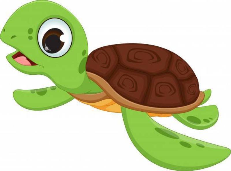 逗人喜爱的海龟动画片