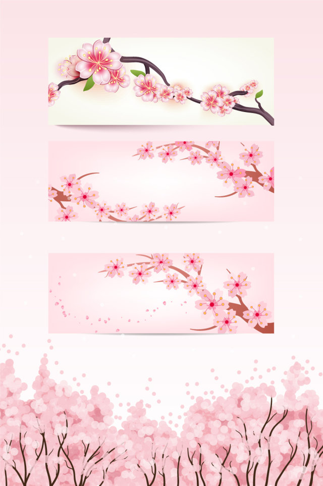 矢量樱花素材 矢量樱花素材