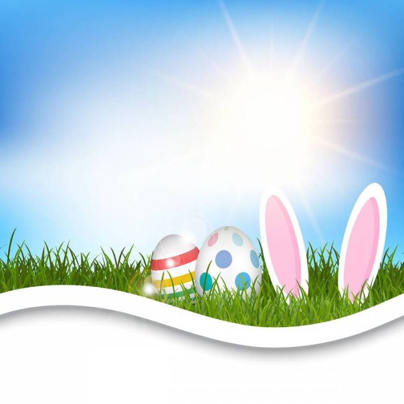 鸡蛋和兔子耳朵在草地上的复活节背景